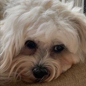 Meet your Posher, Marc